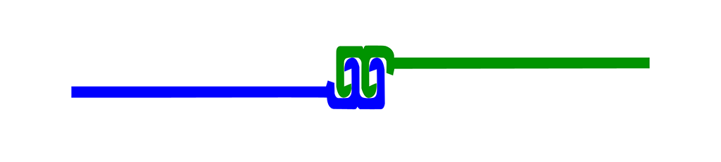 Cross-sectional-view-of-Folder-Advertising-Zipper